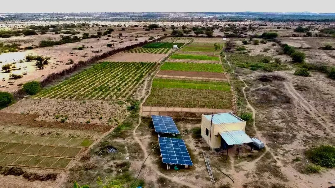 Solar Water Pumps & Drip Irrigation Solutions For Family and Commercial Farms